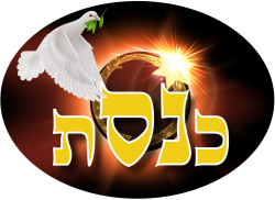 לוגו כנסת-01